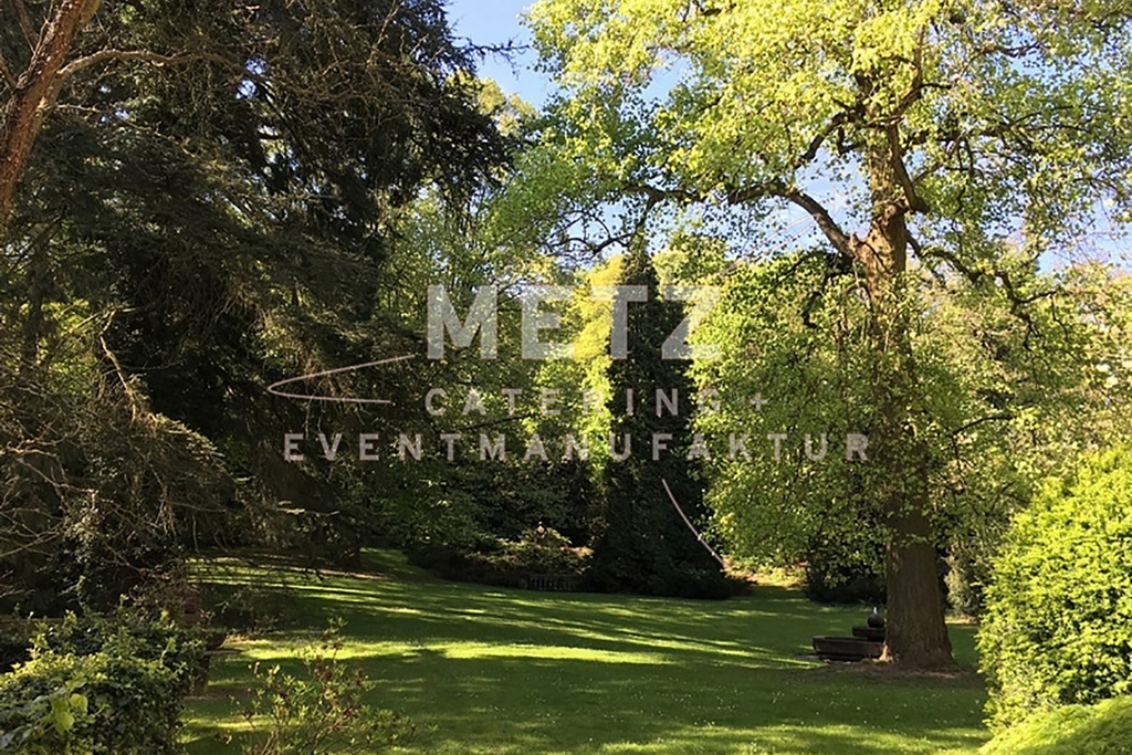 Stella Rheni Blick in den Park